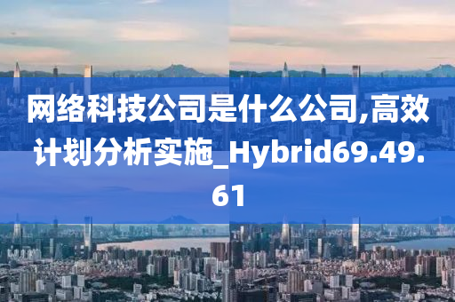 网络科技公司是什么公司,高效计划分析实施_Hybrid69.49.61