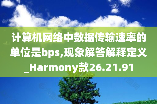 计算机网络中数据传输速率的单位是bps,现象解答解释定义_Harmony款26.21.91