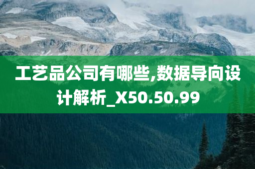 工艺品公司有哪些,数据导向设计解析_X50.50.99