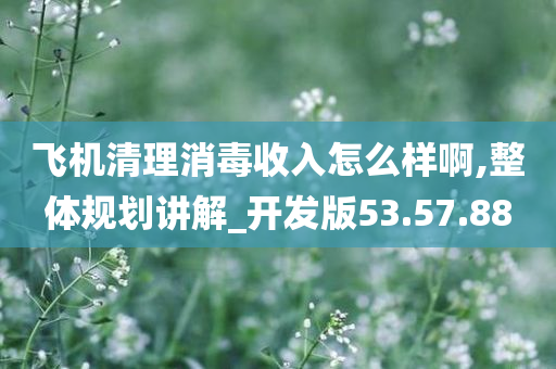 飞机清理消毒收入怎么样啊,整体规划讲解_开发版53.57.88