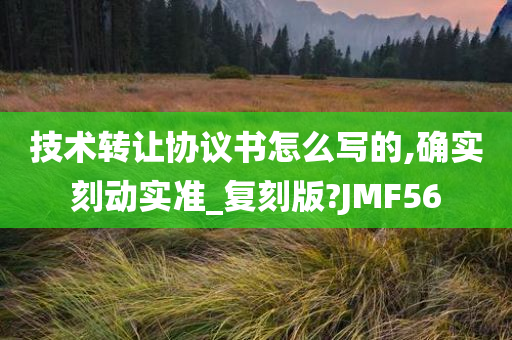 技术转让协议书怎么写的,确实刻动实准_复刻版?JMF56