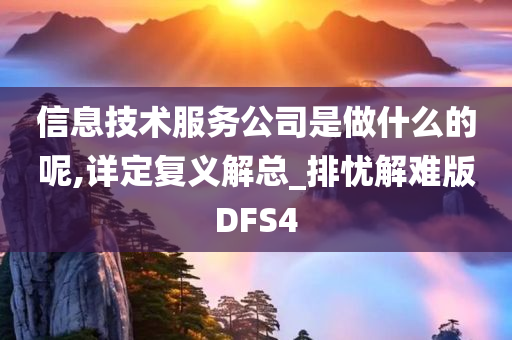 信息技术服务公司是做什么的呢,详定复义解总_排忧解难版DFS4