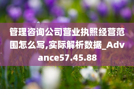 管理咨询公司营业执照经营范围怎么写,实际解析数据_Advance57.45.88