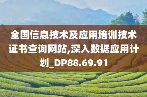 全国信息技术及应用培训技术证书查询网站,深入数据应用计划_DP88.69.91