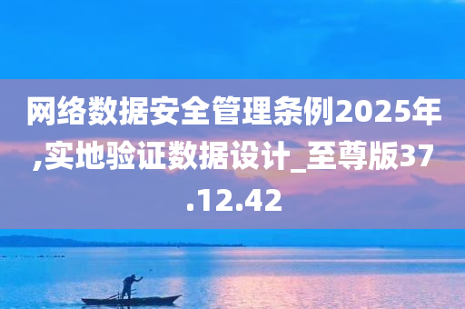 网络数据安全管理条例2025年,实地验证数据设计_至尊版37.12.42