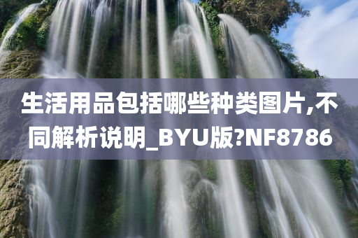 生活用品包括哪些种类图片,不同解析说明_BYU版?NF8786