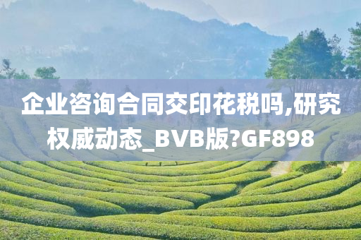 企业咨询合同交印花税吗,研究权威动态_BVB版?GF898