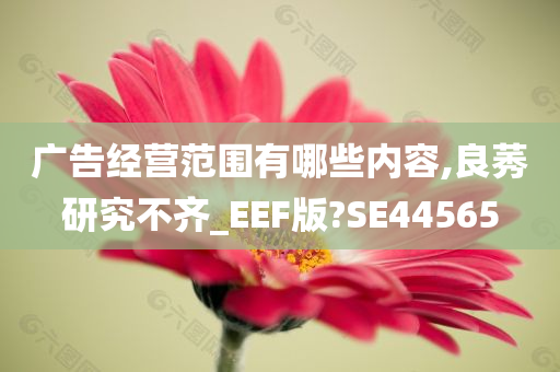 广告经营范围有哪些内容,良莠研究不齐_EEF版?SE44565