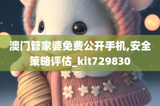 澳门管家婆免费公开手机,安全策略评估_kit729830