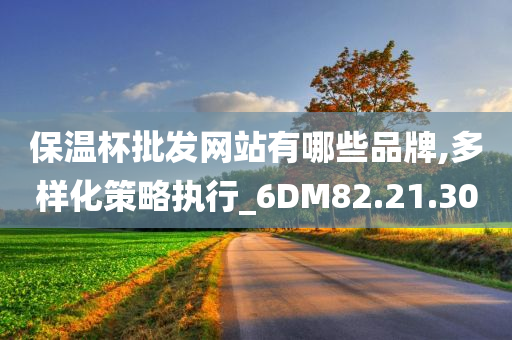 保温杯批发网站有哪些品牌,多样化策略执行_6DM82.21.30