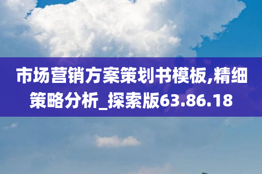 市场营销方案策划书模板,精细策略分析_探索版63.86.18