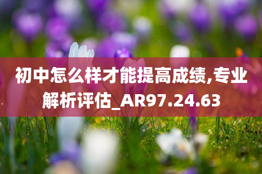 初中怎么样才能提高成绩,专业解析评估_AR97.24.63