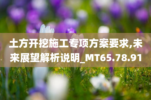 土方开挖施工专项方案要求,未来展望解析说明_MT65.78.91