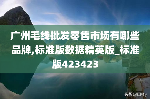 广州毛线批发零售市场有哪些品牌,标准版数据精英版_标准版423423