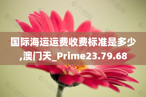 国际海运运费收费标准是多少,澳门天_Prime23.79.68