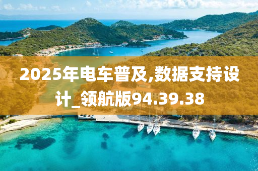 2025年电车普及,数据支持设计_领航版94.39.38