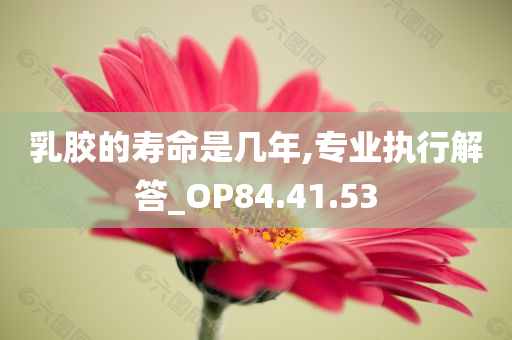 乳胶的寿命是几年,专业执行解答_OP84.41.53