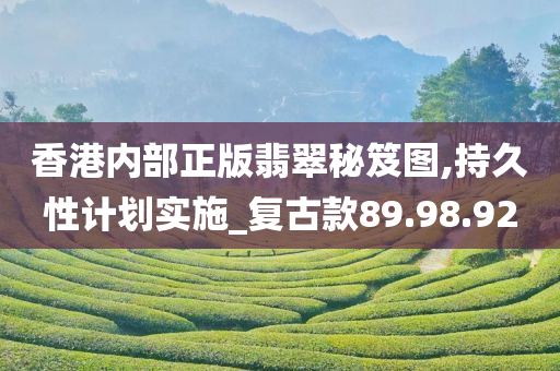 香港内部正版翡翠秘笈图,持久性计划实施_复古款89.98.92