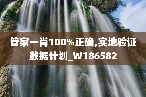 管家一肖100%正确,实地验证数据计划_W186582