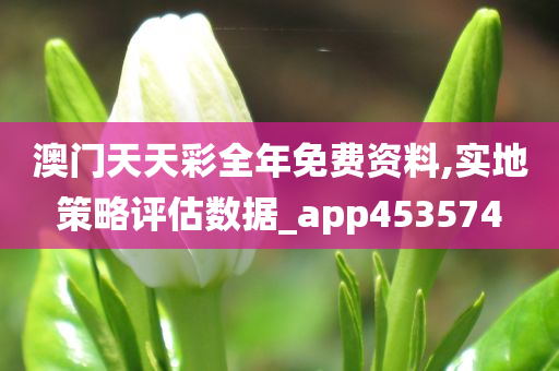 澳门天天彩全年免费资料,实地策略评估数据_app453574