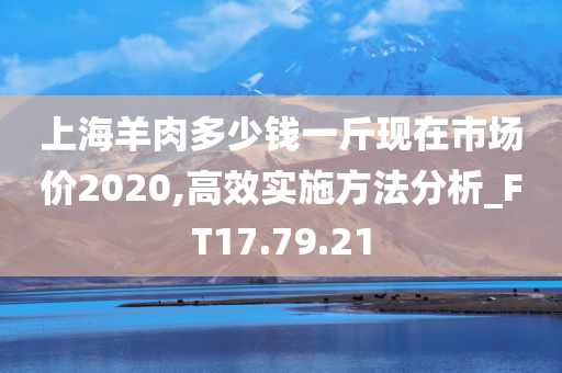 上海羊肉多少钱一斤现在市场价2020,高效实施方法分析_FT17.79.21