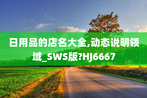 日用品的店名大全,动态说明领域_SWS版?HJ6667