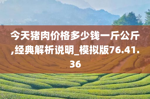 今天猪肉价格多少钱一斤公斤,经典解析说明_模拟版76.41.36