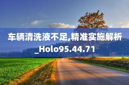 车辆清洗液不足,精准实施解析_Holo95.44.71