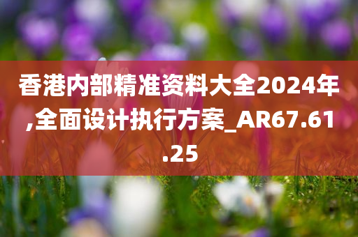 香港内部精准资料大全2024年,全面设计执行方案_AR67.61.25