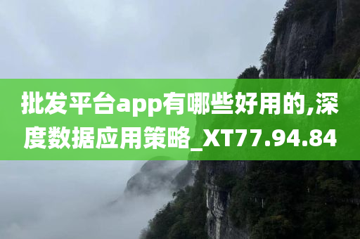 批发平台app有哪些好用的,深度数据应用策略_XT77.94.84