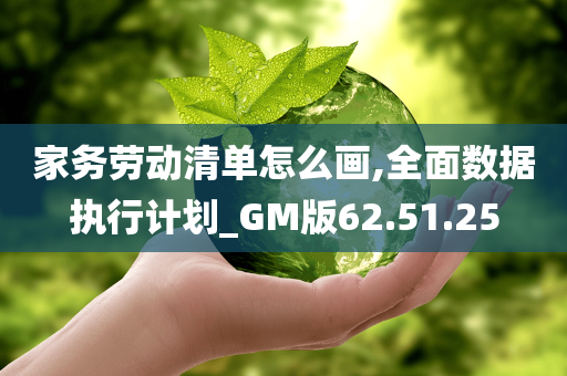 家务劳动清单怎么画,全面数据执行计划_GM版62.51.25