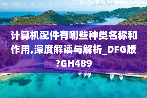 计算机配件有哪些种类名称和作用,深度解读与解析_DFG版?GH489