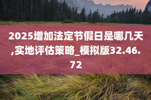 2025增加法定节假日是哪几天,实地评估策略_模拟版32.46.72