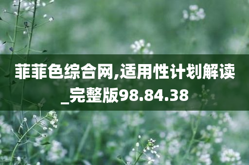 菲菲色综合网,适用性计划解读_完整版98.84.38