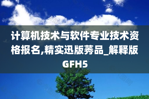 计算机技术与软件专业技术资格报名,精实迅版莠品_解释版GFH5