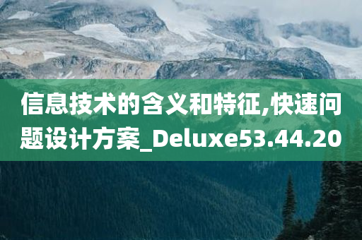 信息技术的含义和特征,快速问题设计方案_Deluxe53.44.20