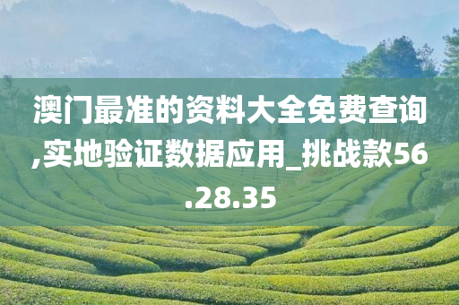 澳门最准的资料大全免费查询,实地验证数据应用_挑战款56.28.35