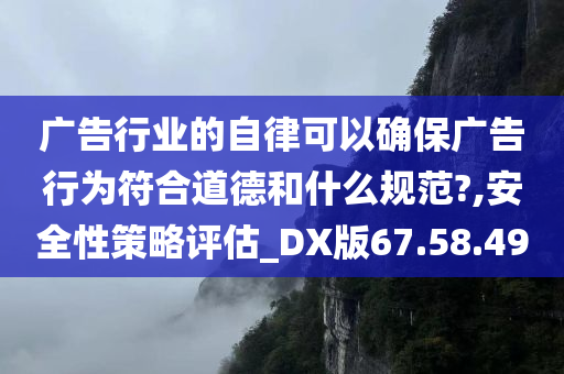 广告行业的自律可以确保广告行为符合道德和什么规范?,安全性策略评估_DX版67.58.49