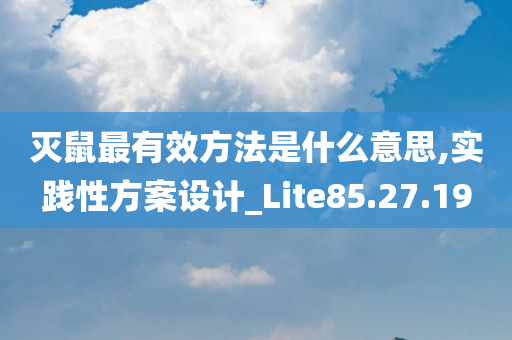 灭鼠最有效方法是什么意思,实践性方案设计_Lite85.27.19