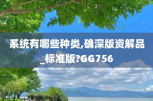 系统有哪些种类,确深版资解品_标准版?GG756