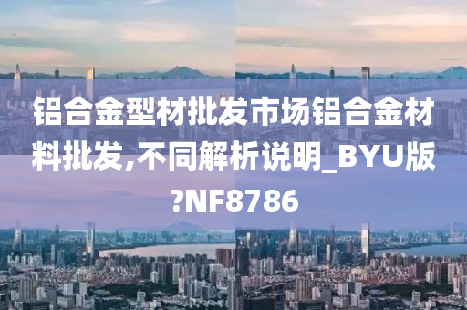 铝合金型材批发市场铝合金材料批发,不同解析说明_BYU版?NF8786