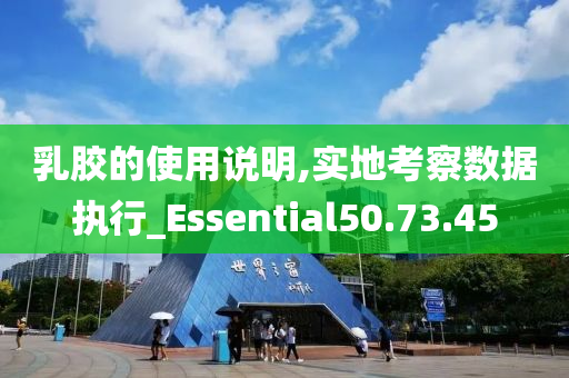 乳胶的使用说明,实地考察数据执行_Essential50.73.45