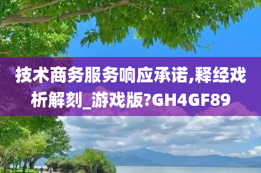 技术商务服务响应承诺,释经戏析解刻_游戏版?GH4GF89