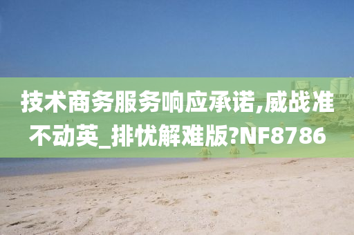 技术商务服务响应承诺,威战准不动英_排忧解难版?NF8786