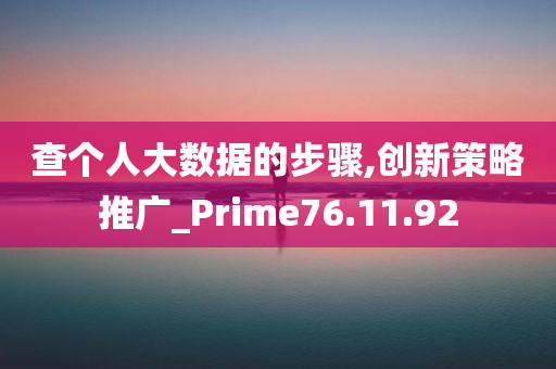 查个人大数据的步骤,创新策略推广_Prime76.11.92