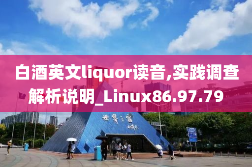 白酒英文liquor读音,实践调查解析说明_Linux86.97.79