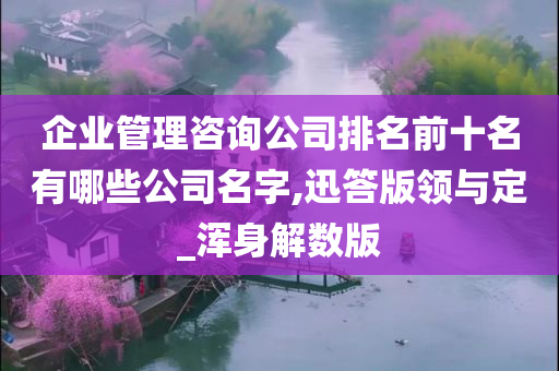 企业管理咨询公司排名前十名有哪些公司名字,迅答版领与定_浑身解数版