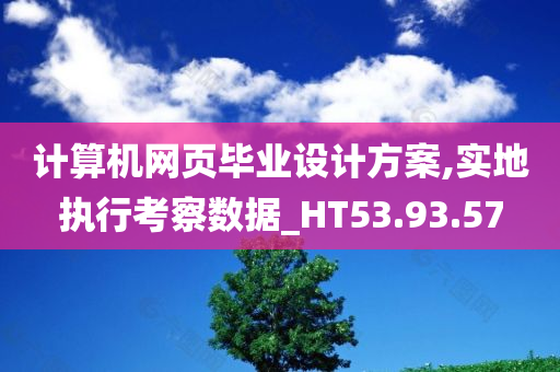 计算机网页毕业设计方案,实地执行考察数据_HT53.93.57