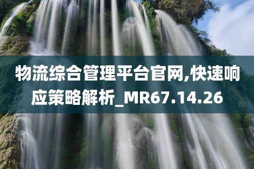 物流综合管理平台官网,快速响应策略解析_MR67.14.26