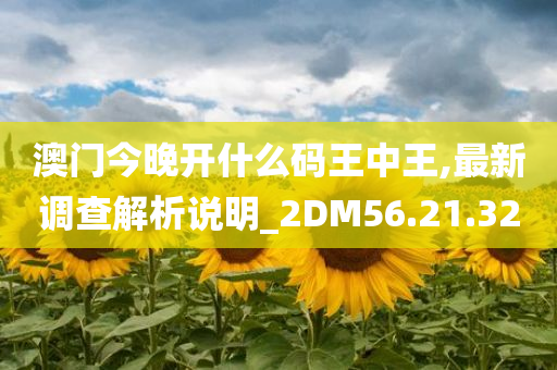 澳门今晚开什么码王中王,最新调查解析说明_2DM56.21.32